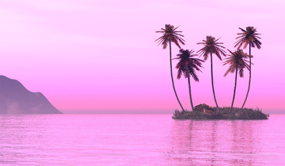 Palms island at sunset sea