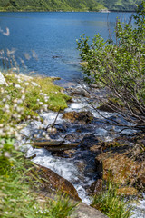 Bach fließt in den See