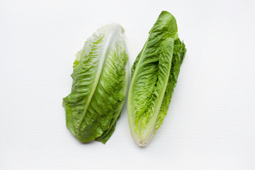 Fresh romaine lettuce isolated on a white background