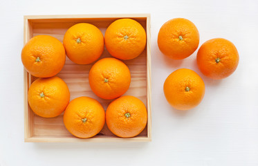 Fresh orange citrus fruit on white background.