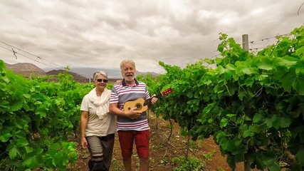 nice beautiful adult couple staying together outdoor leisure playing ukulele acoustic little guitar while are in love forever together from all the life. countryfarm vineyard place in tenerife oceanic - Powered by Adobe