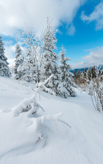 Winter mountain snowy landscape