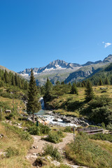 Fototapeta na wymiar Peak of Care Alto - Adamello Trento Italy