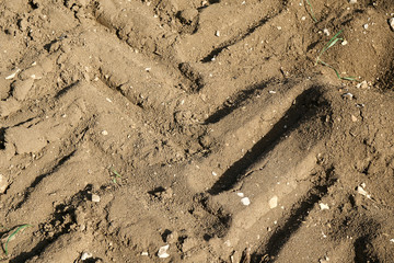 Pattern of a tractor tire on a freshly plowed field in the sun