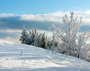 Winter mountain snowy landscape