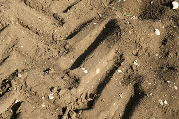 Pattern of a tractor tire on a freshly plowed field in the sun