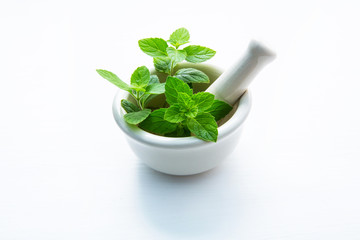 Mint essential oil