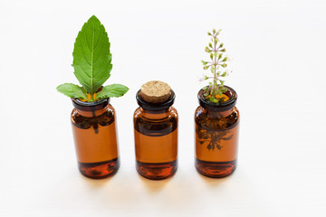 Holy Basil Essential Oil in a Glass Bottle 