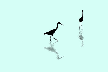 Black silhouette of two egret birds standing in water, vector illustration.