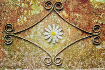 old metal fence with chamomile