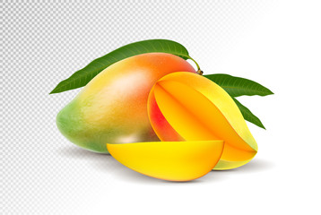 Fresh Mango with slice Isolated On White Background. Vector 3d illustration