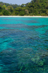 Crystal Clear Seawater