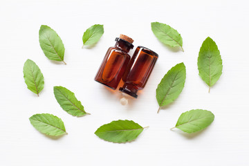 Holy Basil Essential Oil in a Glass Bottle with Fresh Holy Basil