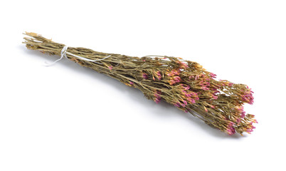 Dried medicinal herbs raw materials isolated on white. Centaurium (Centaury).