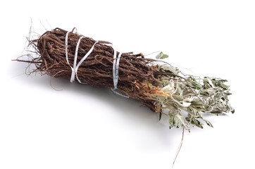 Dried medicinal herbs raw materials isolated on white. Potentilla alba. - obrazy, fototapety, plakaty