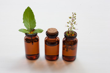 Holy Basil Essential Oil 