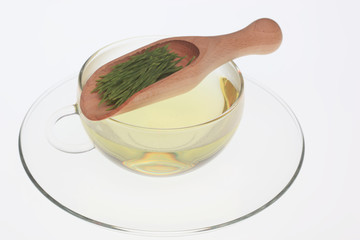 Schachtelhalmtee, Zinnkrauttee, Tee aus der Heilpflanze Acker-Schachtelhalm, Equisetum arvense, Zinnkraut