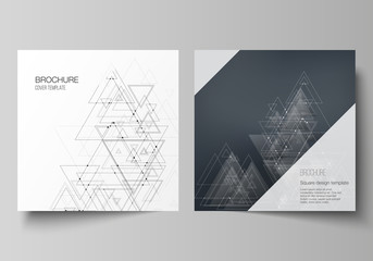 The minimal vector editable layout of two square format covers design templates for brochure, flyer, magazine. Polygonal background with triangles, connecting dots and lines. Connection structure.