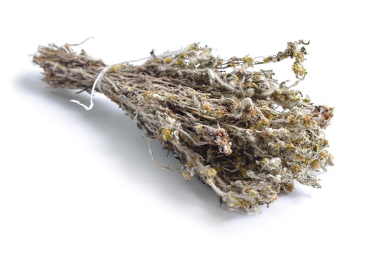 Dried medicinal herbs raw materials isolated on white. Gnaphalium uliginosum or marsh cudweed.