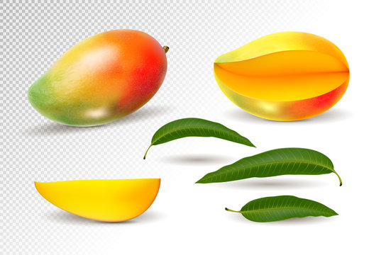 Mango Realistic Fruit Whole And Pieces Illustration