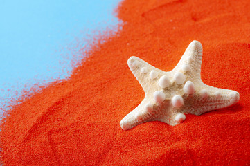 Tropical marine life, minimalism and summer vacation concept with close up on a starfish buried in...