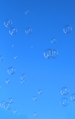 blue background with many soap bubbles