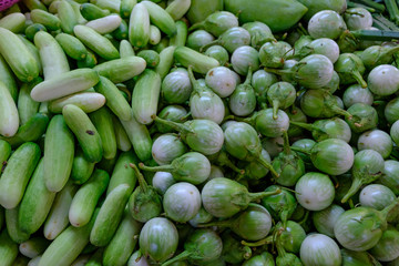 Cucumber harvest. many cucumbers and Eggplant