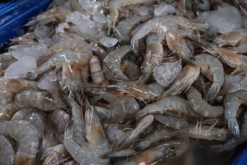 Fresh shrimp for cooking in the market