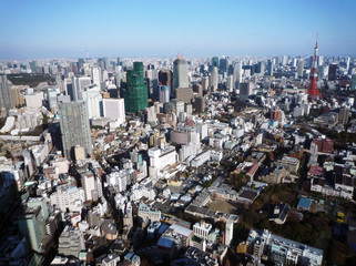 Tokyo Skyline in Japan