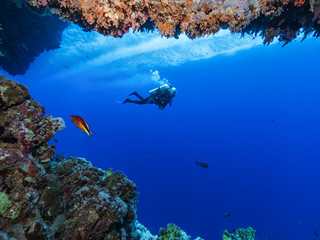 Diver dives past a cave
