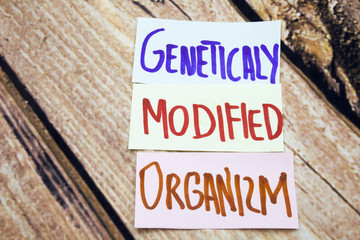 GMO or geneticaly modified organizm handwritten sign on the white paper with retro wooden background. Messages about health and gmo. Agriculture business conceptual signs.