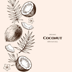 Vector frame with coconuts and tropical leaves .Hand drawn. Vintage style