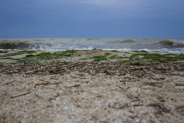 Coast of the sea, algae in the sand and waves on the plane. Background.