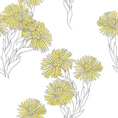 Obraz premium Coltsfoot. Seamless pattern with hand-drawn flowers on a white background. Vector illustration.