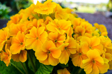 wonderful world around us