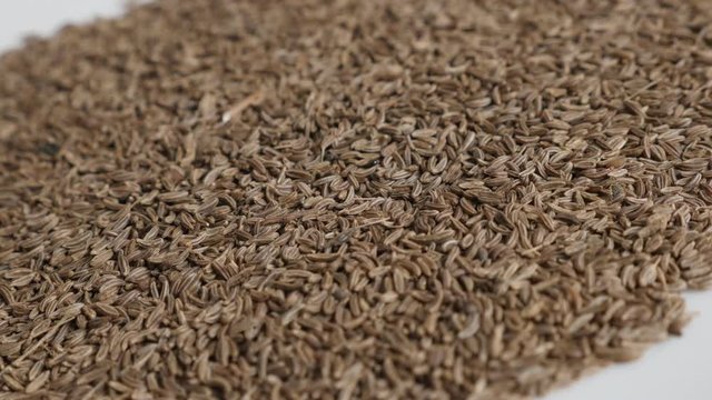 Lot of meridian fennel seed on white 