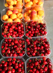 cherries and orange apricots freshly picked from the trees for s