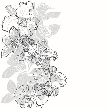 Floral background with orchids on a white background. Vector illustration with place for text. Vertical composition. Greeting card, invitation or isolated elements for design.