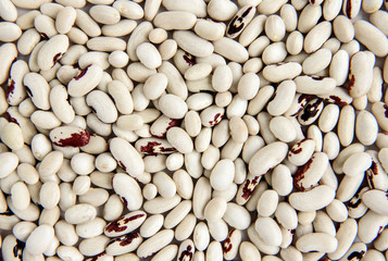White bean isolated on white background.