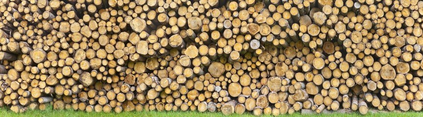 Baumstämme gestapelt