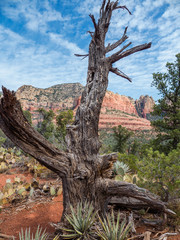 Hiking near Sedona, Arizona