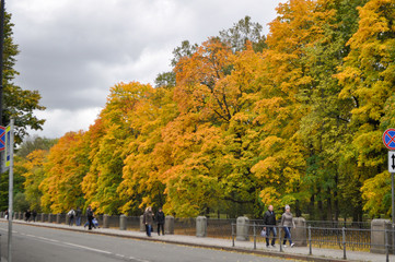 beautiful green park on a sunny day