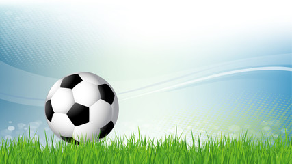 Fototapeta premium Coupe du monde de football