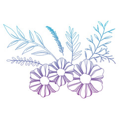 flower and leafs decorative icon vector illustration design