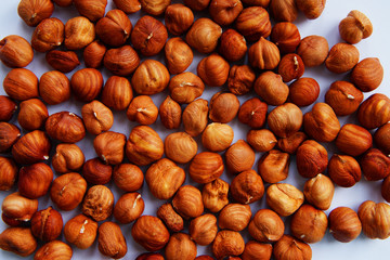 scattered hazelnuts on a white background