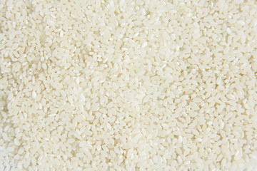 Rice isolated on white background.