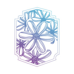 flower and leafs decorative frame vector illustration design