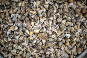 Exploring Phu Qouc Vietnam 2018