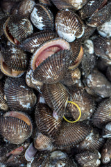 Exploring Phu Qouc Vietnam 2018