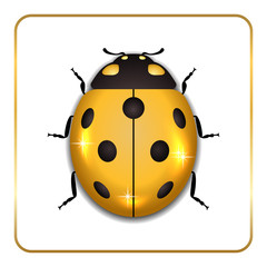 Ladybug gold insect small icon. Golden lady bug animal sign, isolated on white background. 3d volume design. Cute jewelry ladybird design. Cartoon lady bird closeup beetle. Vector illustration